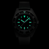 Paradive G3, Type I date, Diver's Inlay